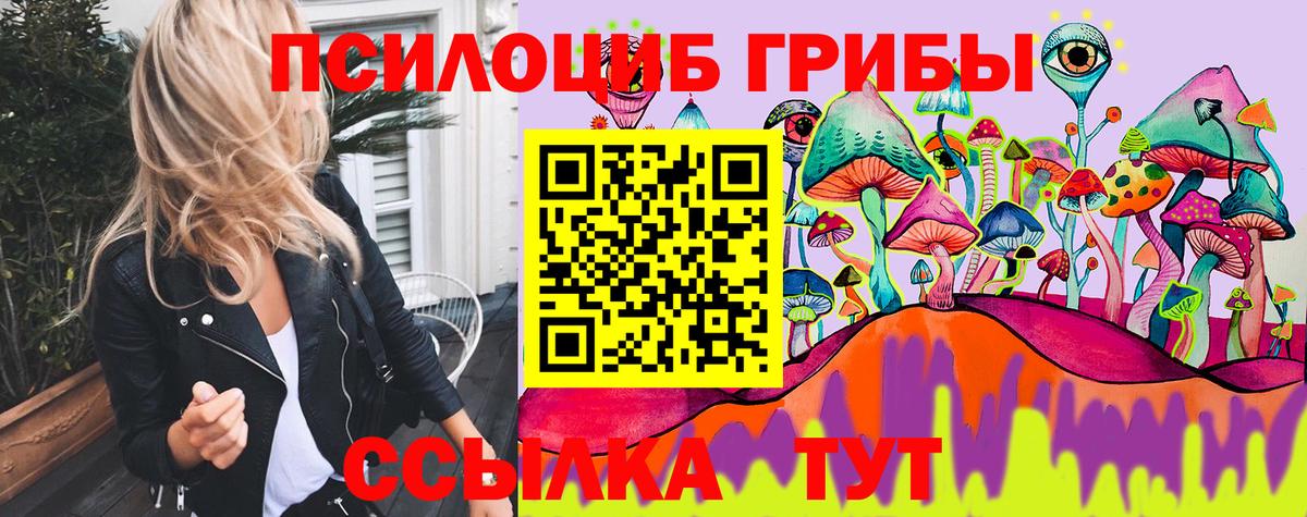 Псилоцибиновые грибы Cubensis Великие Луки