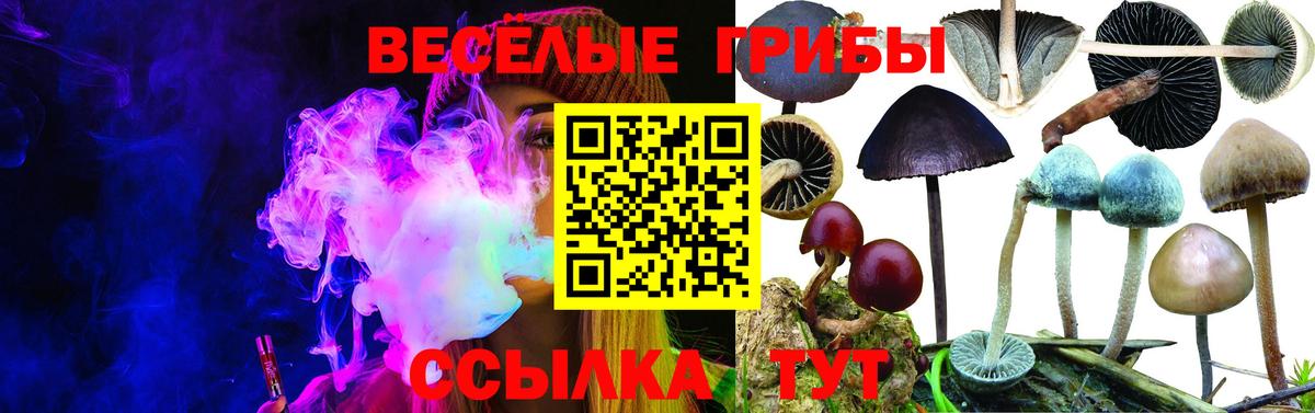 Галлюциногенные грибы мухоморы  Вход с VPN  где купить наркоту  Великие Луки  Галлюциногенные грибы Psilocybine cubensis 