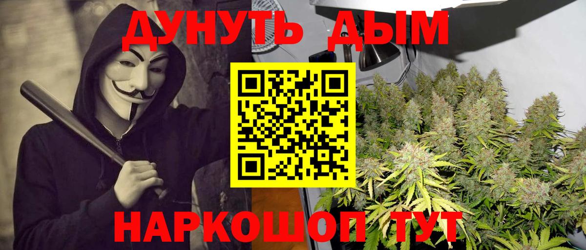 Конопля Bruce Banner Великие Луки